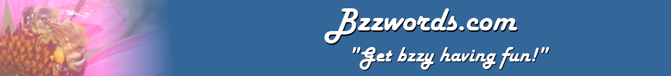 Bzzwords: get bzzy having fun!